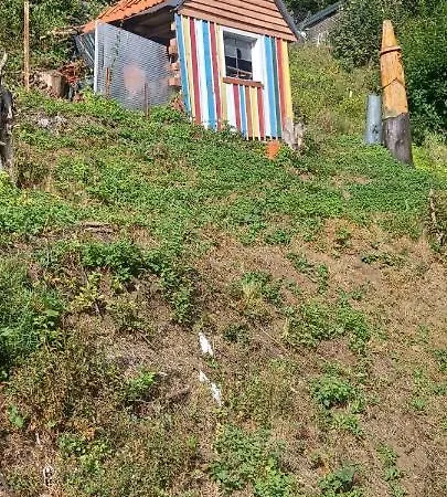 Apartment Haus Auf Den Oberen Hexenstieg